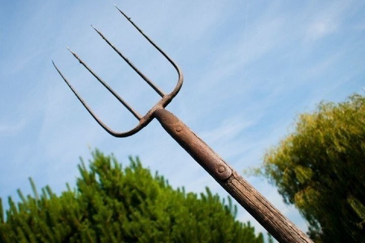 Фото из открытых источников (иллюстративное)