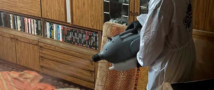 Охотники за тараканами: бизнес по дезинсекции