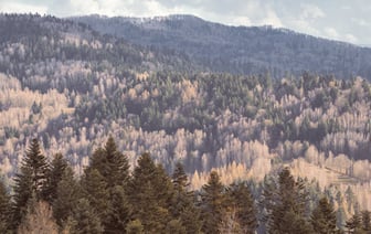 Туск будет добиваться усиления военного присутствия НАТО в Польше и Прибалтике