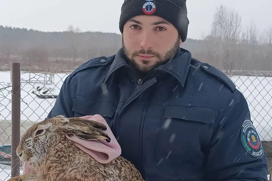 В Беларуси спасли провалившегося под лед зайца