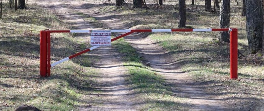 В 37 районах Беларуси ограничено посещение лесов