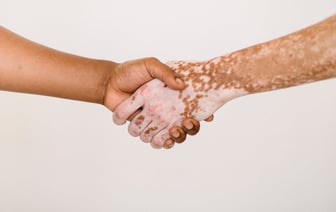 Лукашенко не пошел на экскурсию, организованную Путиным для лидеров СНГ