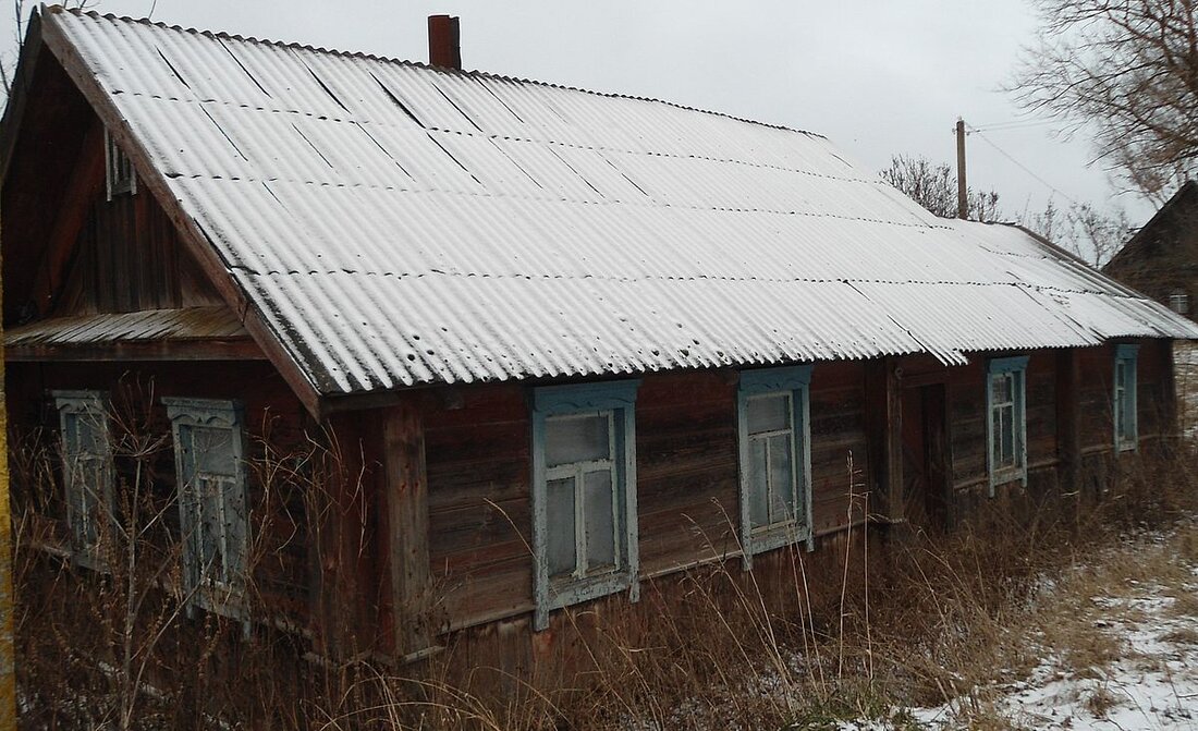 Смотрим дома в деревнях, которые продаются через аукцион от 40 рублей