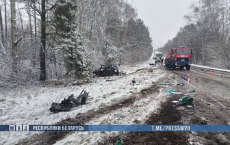 Жуткое ДТП на Могилевщине: легковушка врезалась в грузовик — погибли три человека, среди них один ребенок