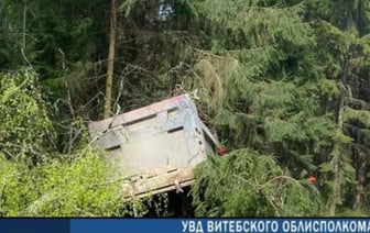 Трагедия на дороге: Водитель погиб в столкновении с деревом под Полоцком