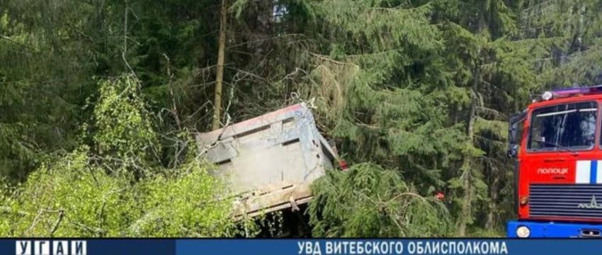 Трагедия на дороге: Водитель погиб в столкновении с деревом под Полоцком