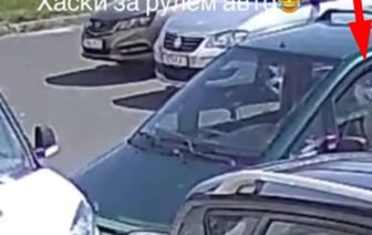 В Беларуси собака устроила аварию, «сев за руль» автомобиля. Хозяйку лишили прав