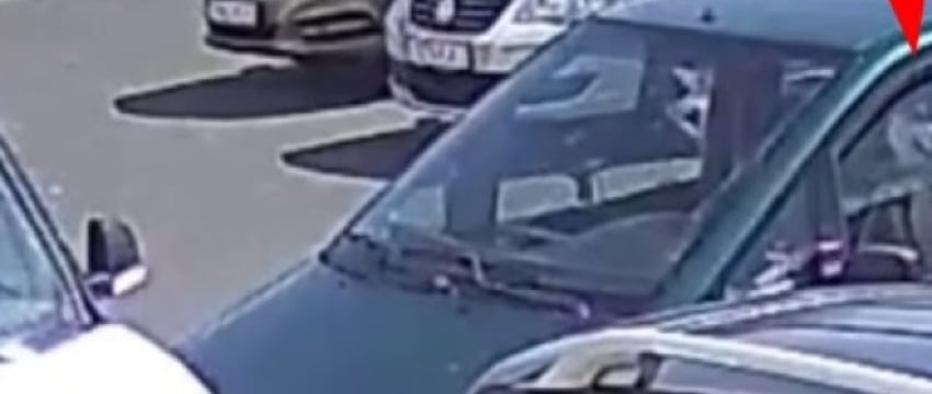 В Беларуси собака устроила аварию, «сев за руль» автомобиля. Хозяйку лишили прав