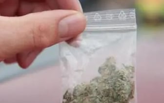 Суд в Бресте приговорил женщину к трем годам колонии за попытку провезти через границу марихуану