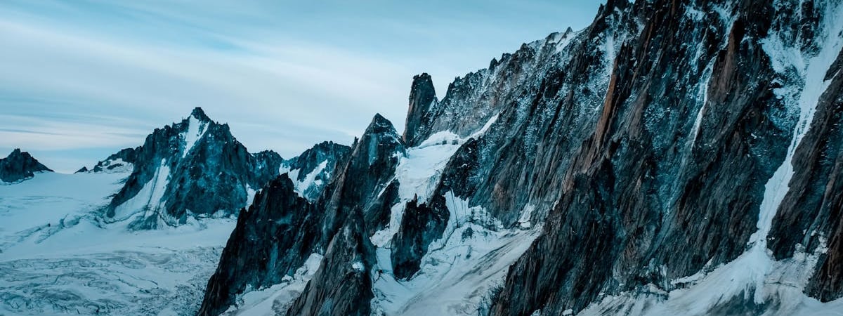 Дональд Туск объявил о замораживании цен на электроэнергию в Польше