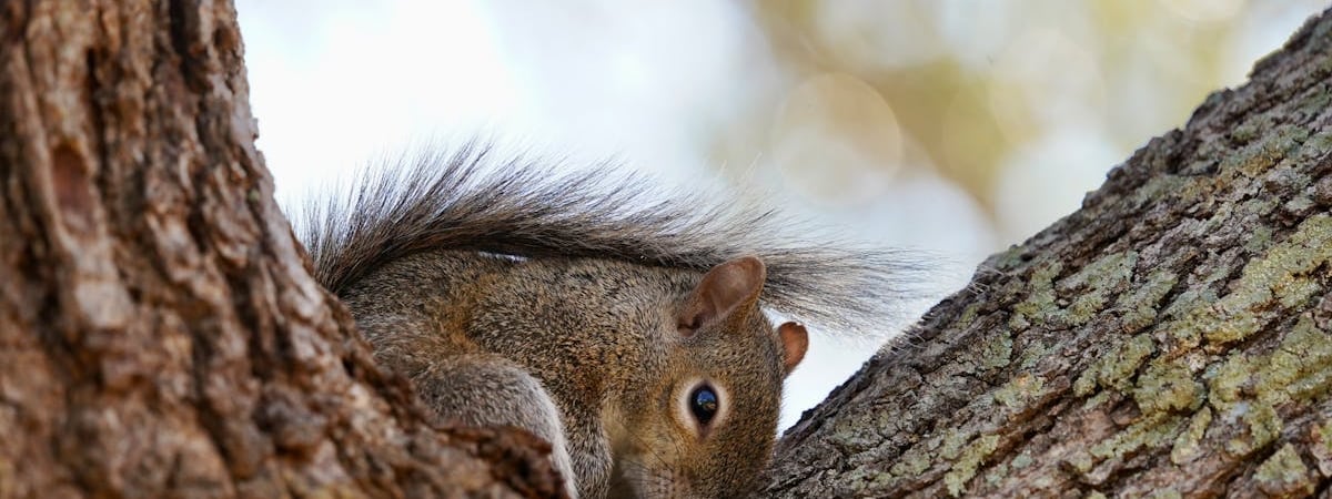 США планируют весной провести подземный тестовый подрыв оружейного плутония