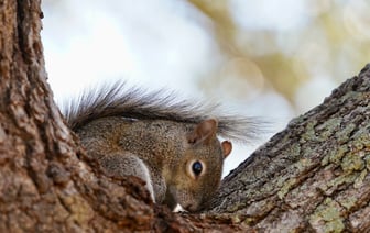 США планируют весной провести подземный тестовый подрыв оружейного плутония