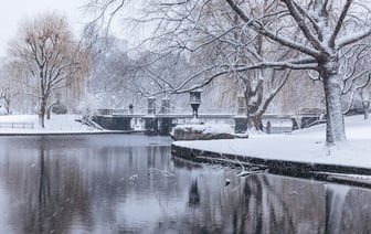 Узбекистан и Казахстан с 1 января 2025 года станут странами-партнерами БРИКС