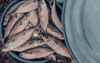 Белгоспищепром предлагает вывести кондитерские изделия из-под ценового регулирования