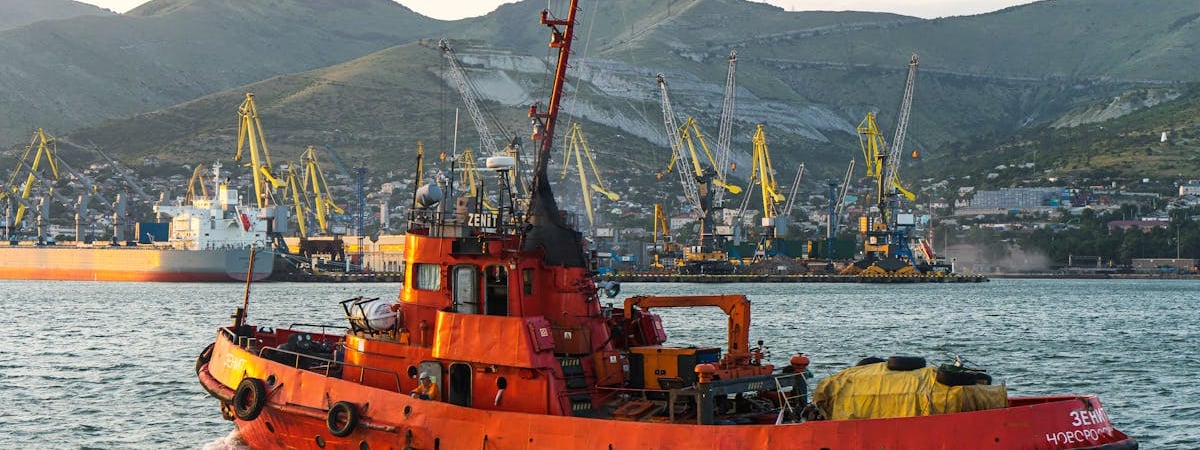 Россия импортирует сливочное масло из ОАЭ и Турции для сдерживания роста цен