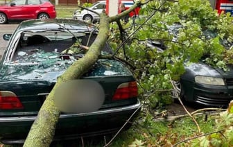 Более 10 тысяч заявлений об ущербе от урагана поступило в «Белгосстрах»