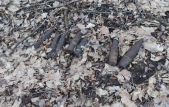 В Брестской области  мужчина на прогулке в лесу нашел снаряды времен ВОВ