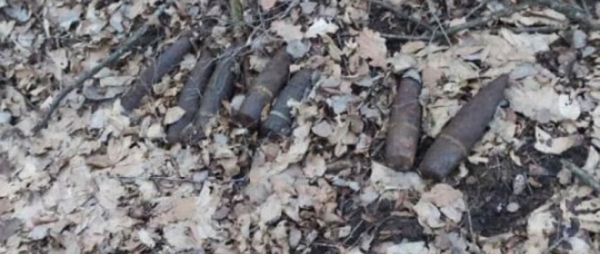 В Брестской области  мужчина на прогулке в лесу нашел снаряды времен ВОВ