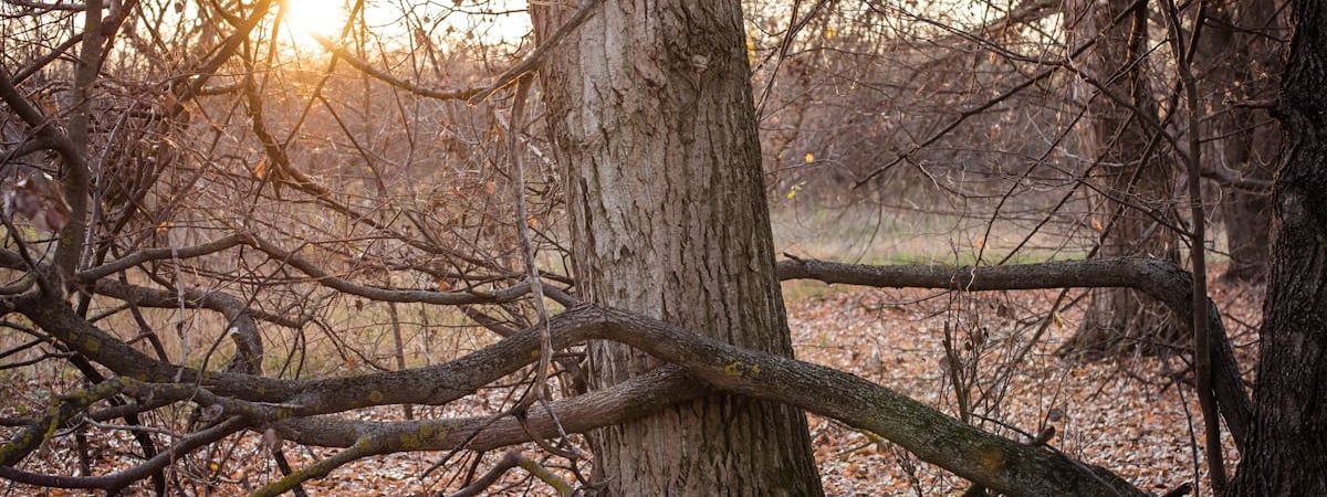 Потребности Украины во внешнем финансировании в 2025 году составят свыше $41 млрд