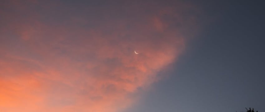 «Обалдеть». Женщина думала, что трезва, но все оказалось наоборот