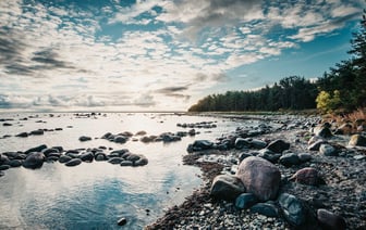 В Эстонию для охраны воздушного пространства стран Балтии прибыли нидерландские F-35