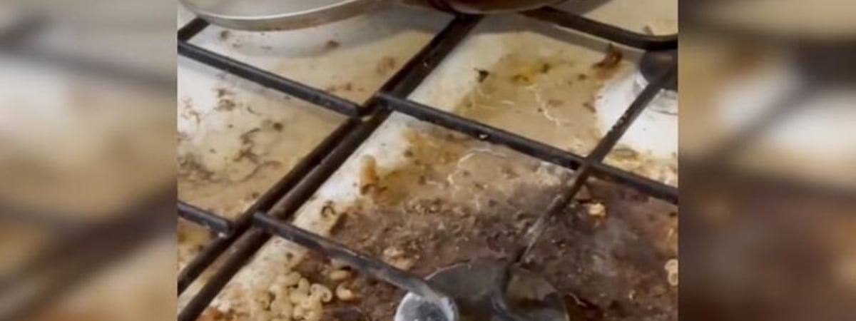 «Первая мысль была в голове от увиденного: "Юля, одумайся!"»: клинерша показала состояние квартиры после сдачи в аренду