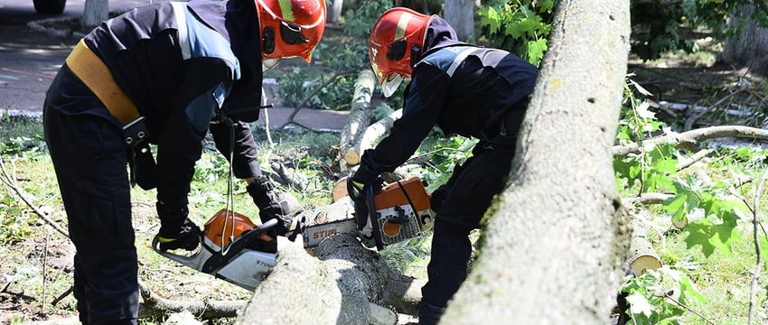 В Гомеле ликвидируют последствия урагана