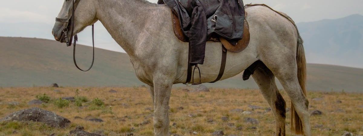 Армения введет госгарантии для защиты прав туристов