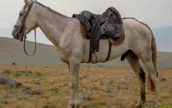 Армения введет госгарантии для защиты прав туристов