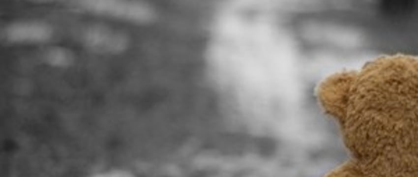 «Как взыскать алименты с нерадивого отца?». Жительнице Бреста ответили в милиции