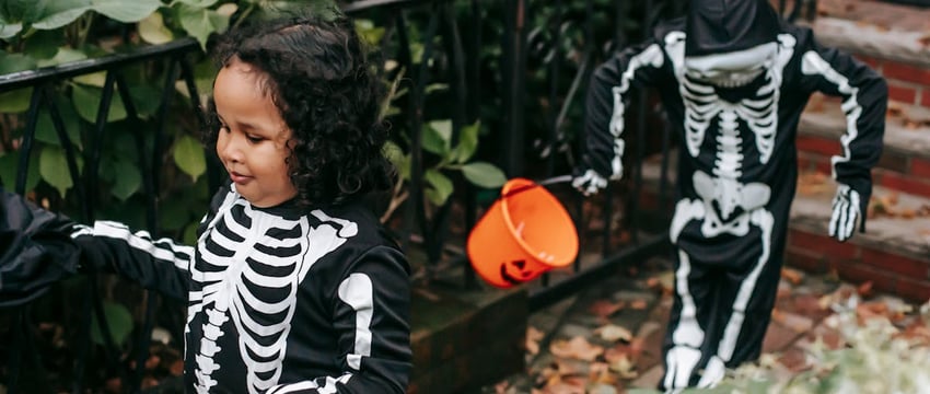 Новополоцке проведут республиканский фестиваль бега «Парковый полумарафон»