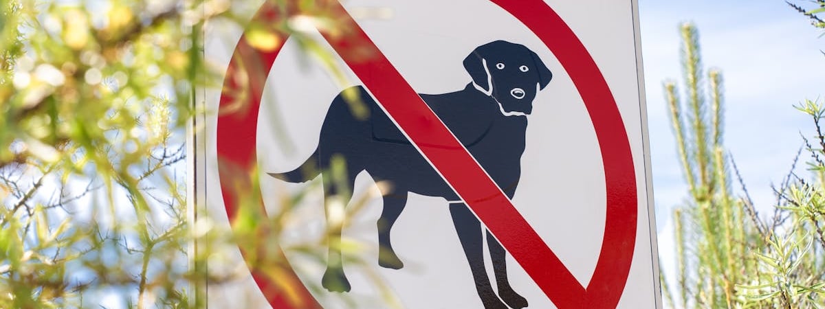 Кнессет Израиля утвердил закон о запрете БАПОР