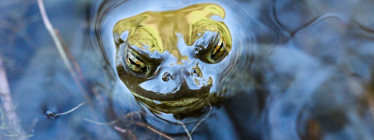 Боррель рассказал, сколько стран ЕС поддержало идею использовать Киевом западное оружие на территории РФ