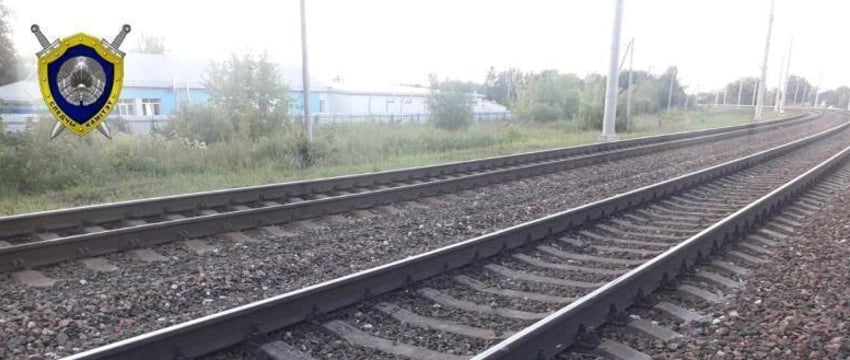 В Жлобине 8-летняя девочка погибла под колесами электропоезда