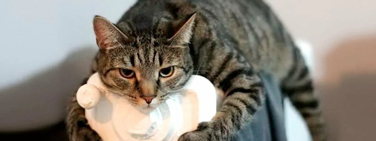 Минэнерго Беларуси подняло в батареях температуру до 105°C