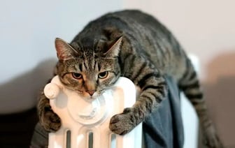 Минэнерго Беларуси подняло в батареях температуру до 105°C