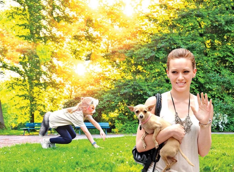 Фото из открытых источников (иллюстративное)