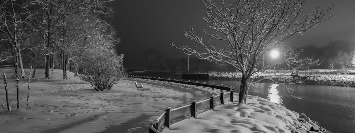 Парламент Франции окончательно запретил одноразовые электронные сигареты