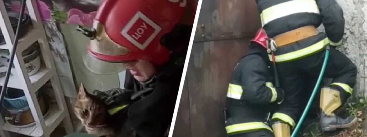 «Провел неделю под полом» — Белорусское МЧС поделилось видео со спасением ещё двух котиков — Видео