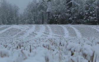 То дождь, то снег. Декабрь обещают теплее нормы
