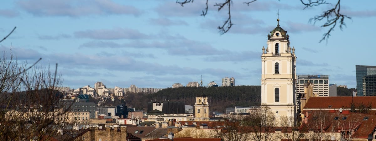 Науседа с большим отрывом победил на президентских выборах в Литве