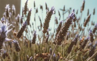 Прогноз погоды в Полоцке и Новополоцке