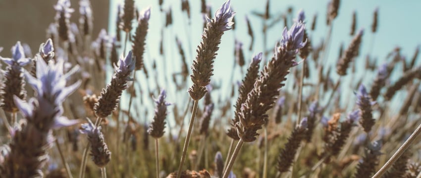 Прогноз погоды в Полоцке и Новополоцке