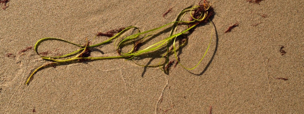 ЕС выделил €3 млн на мониторинг украинских атомных станций