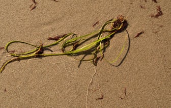 ЕС выделил €3 млн на мониторинг украинских атомных станций