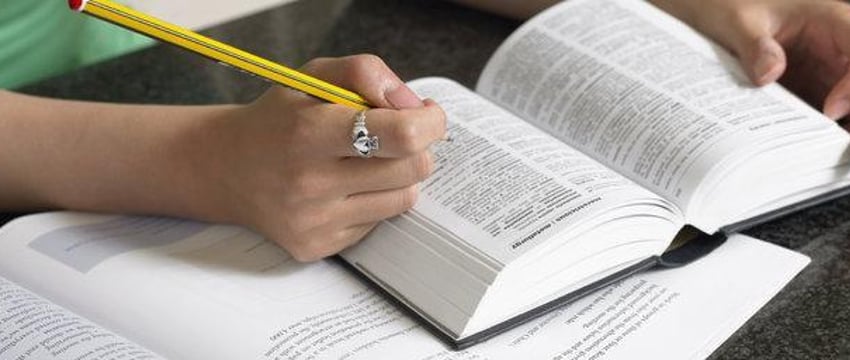 Россияне стали активнее учить языки стран СНГ, в том числе белорусский