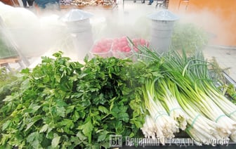 Витрина с туманом — посмотрите, какое необычное устройство появилось в магазине Гродно