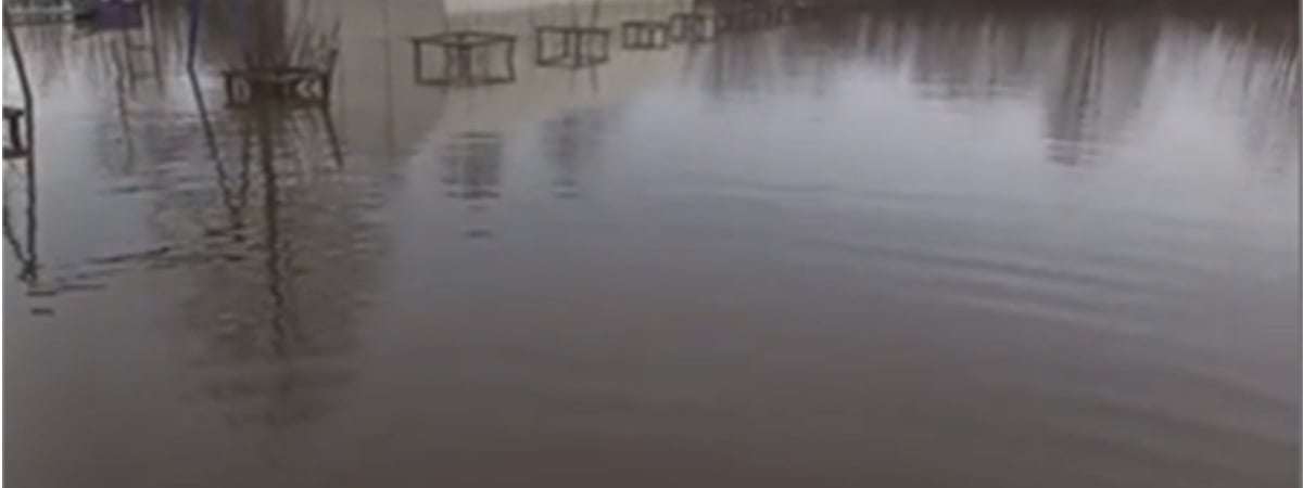 «Тонем все дальше и дальше» – Белорусы показали разливы рек и «прорванную дамбу». Но нарвались на хейтеров — Видео