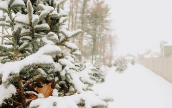 Чистая прибыль немецкой энергетической компании RWE в январе-сентябре выросла на 36%