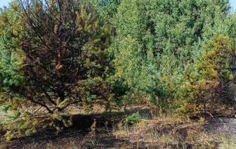 В Брестском районе при пожаре погиб пенсионер